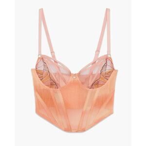 Savage X Fenty Beneath The Surface Mesh Bustier Peach Pink Plus Size 3X